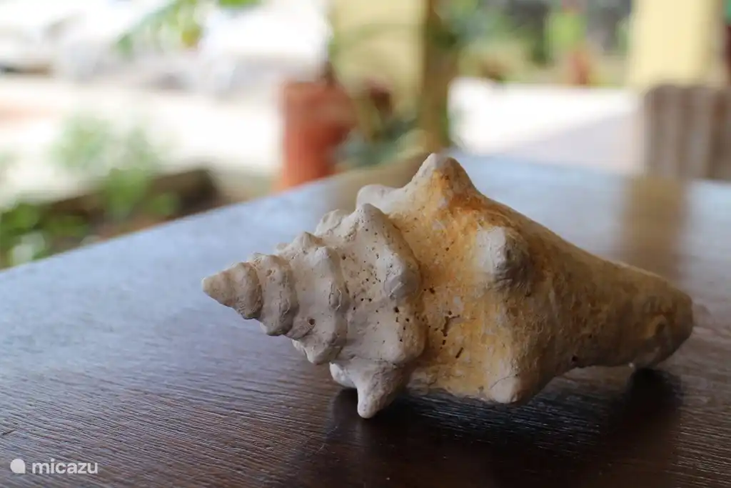 Atmósfera de una villa tropical