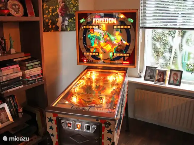villa margarita en Alemania, Sauerland, Winterberg - villa Máquina de pinball en Partykeller