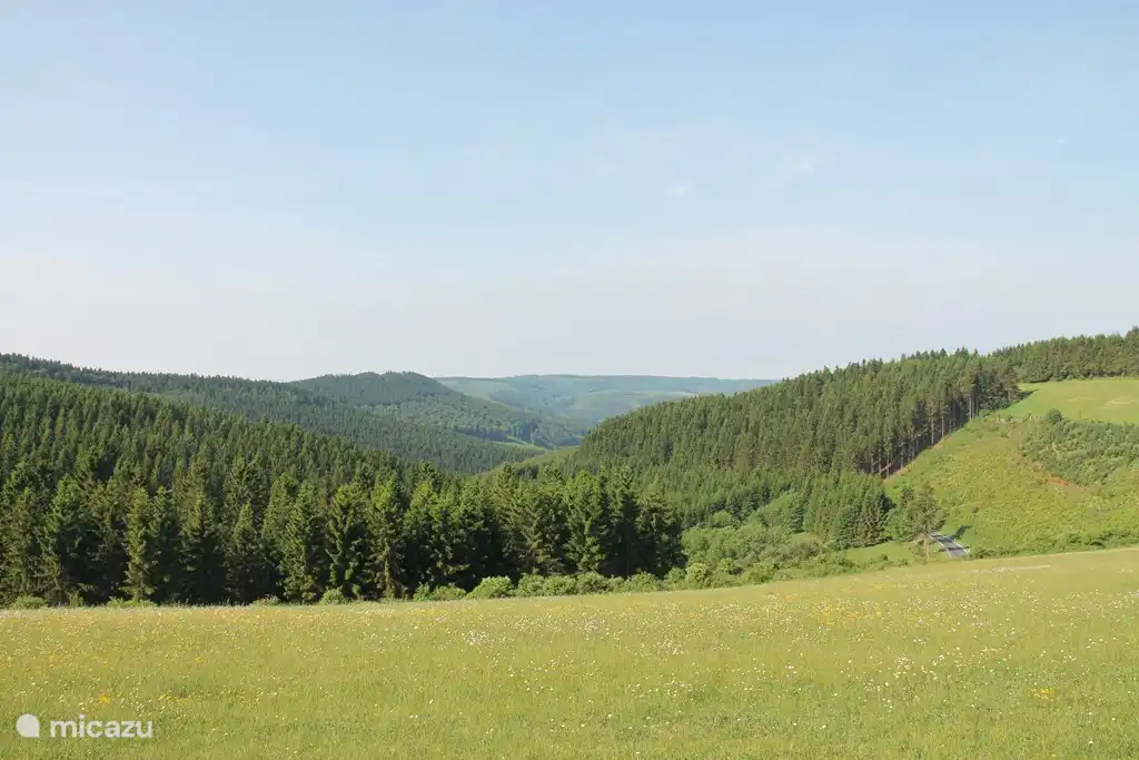 Aussicht in Altastenberg
