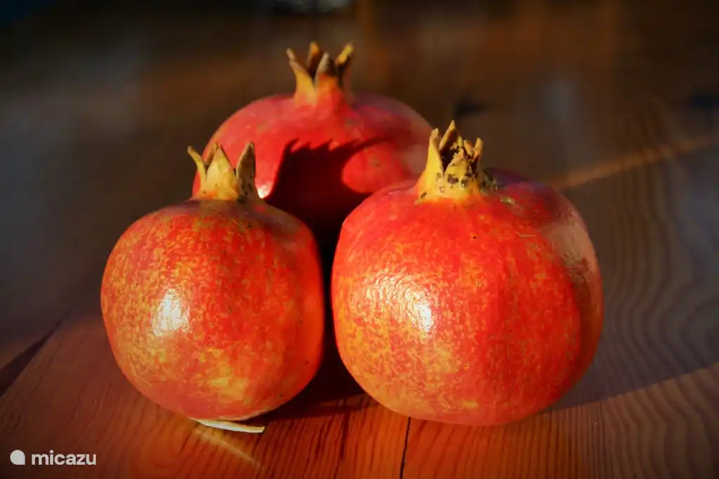 Granatäpfel