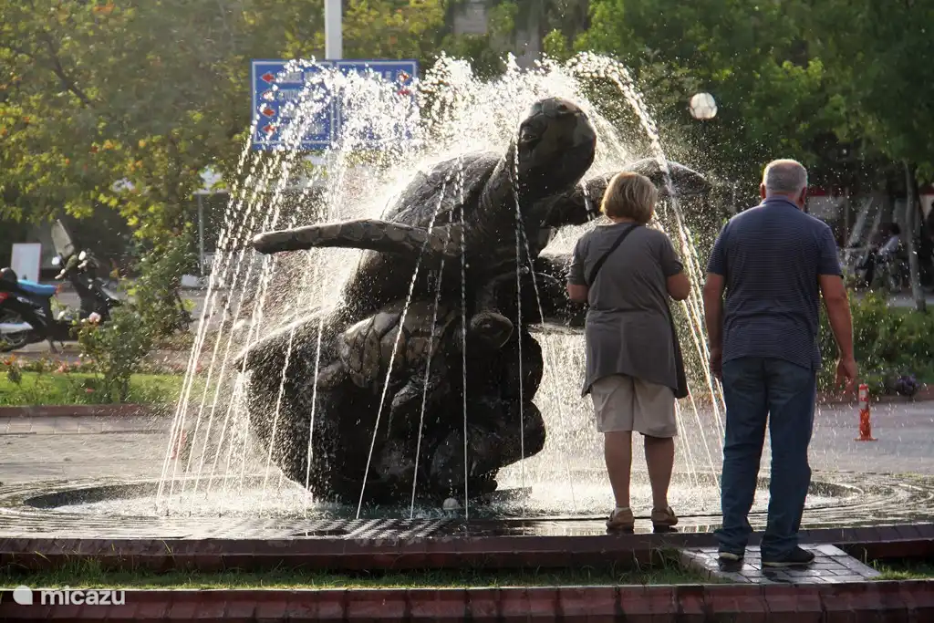 Die Schildkröte im Zentrum