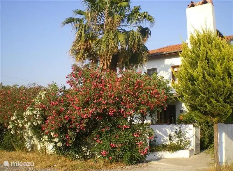 Villa von der Straßenseite aus gesehen