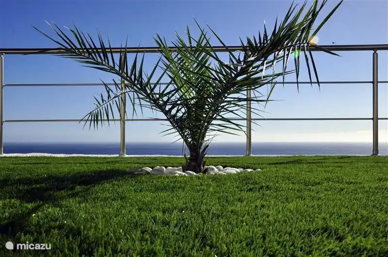 Terrassenbereich mit Grastisch