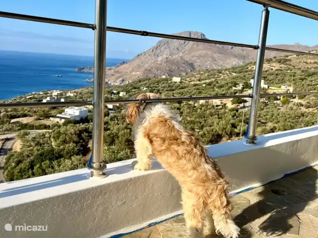 vista al puerto deportivo en Grecia, Creta, Plakias - apartamento Prospecto