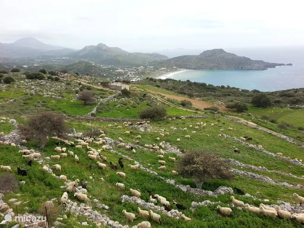Blick auf die Bucht von Plakias.