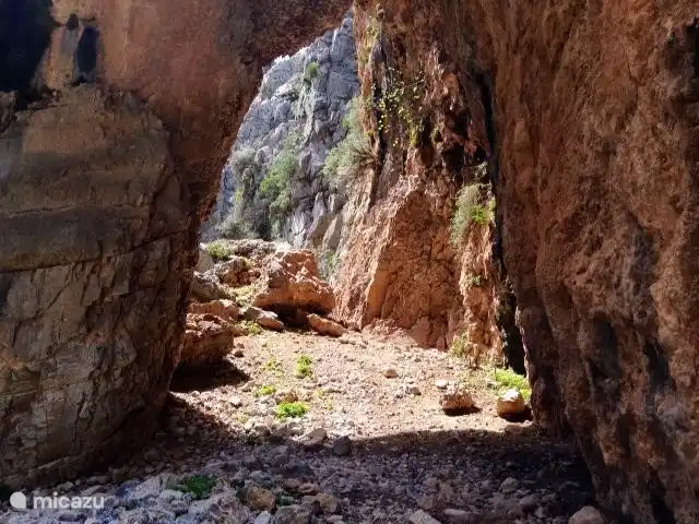 vista al puerto deportivo en Grecia, Creta, Plakias - apartamento Garganta de Imbros