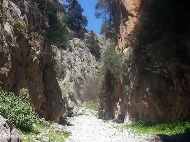 vista al puerto deportivo en Grecia, Creta, Plakias - apartamento Garganta de Imbros