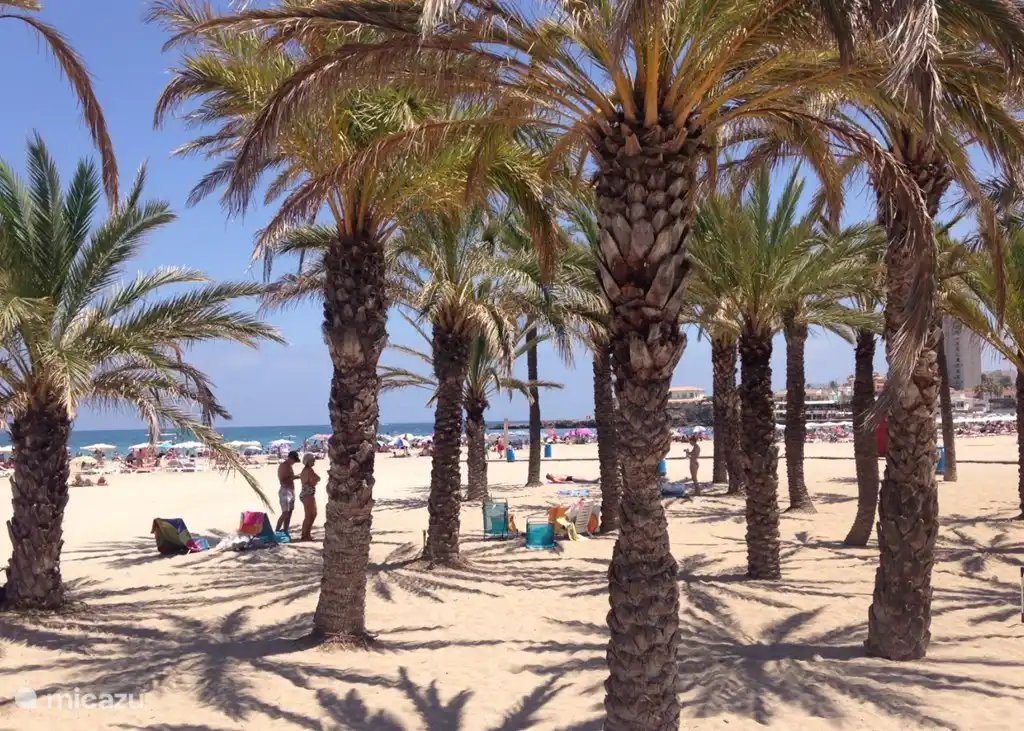 Beach area of the villa