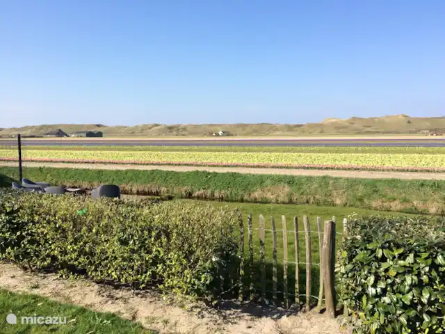 Location de Vacances Pays-Bas, Hollande du Nord, Julianadorp aan Zee, villa - Villa Ooghduyne Grand jardin clos avec beaucoup d'intimité et de belles vues