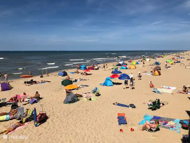 Location de Vacances Pays-Bas, Hollande du Nord, Julianadorp aan Zee, villa - Villa Ooghduyne Plage à distance de marche