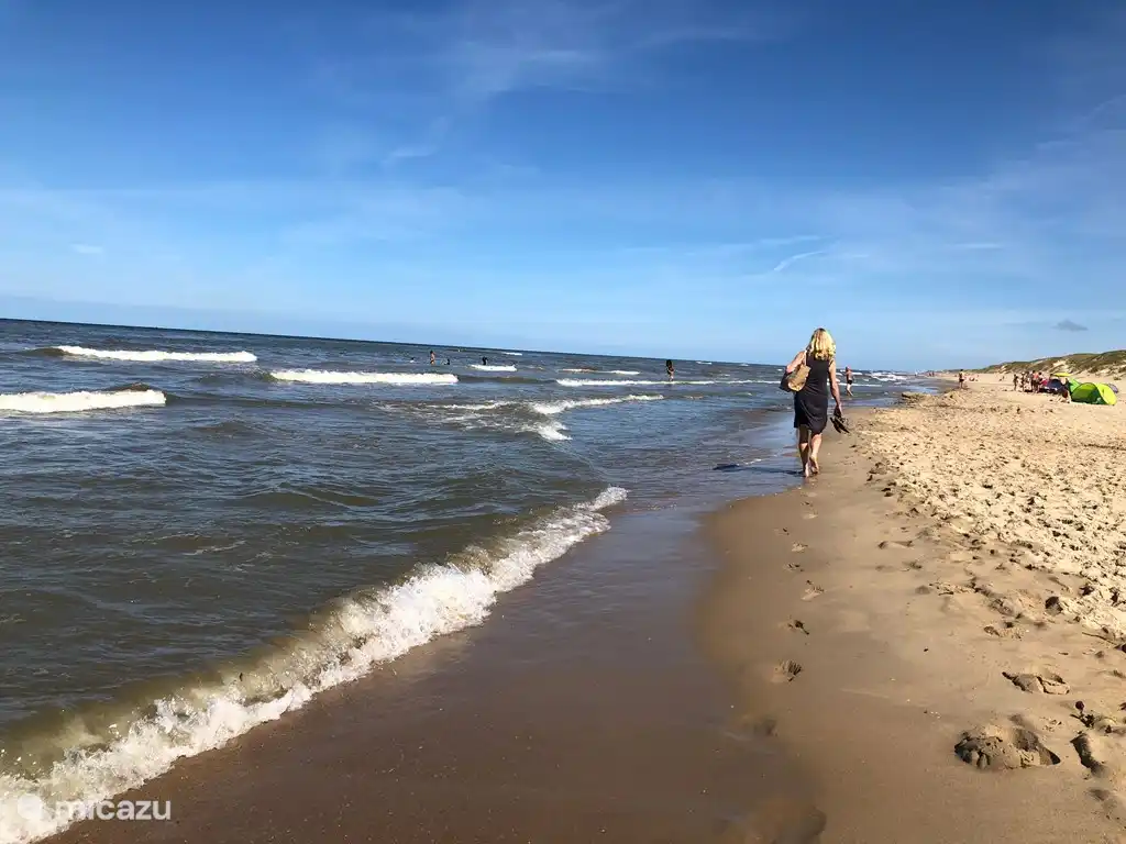 Promenade sur la plage