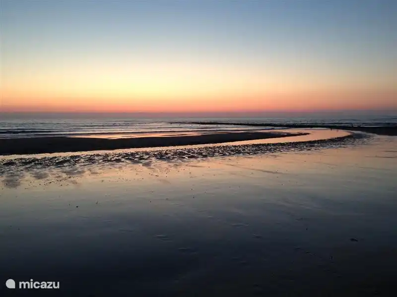 Toujours de belles promenades sur la plage