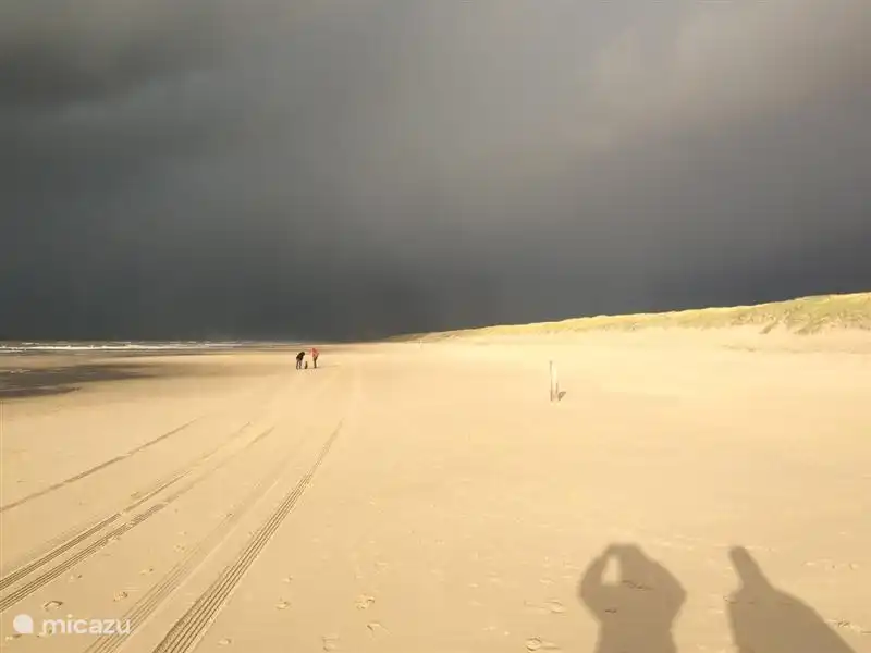 Promenade d'automne sur la plage
