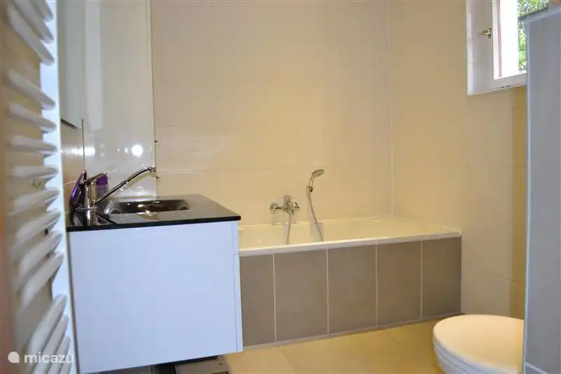 Erdgeschoss Badezimmer mit Badewanne, WC und Urinal