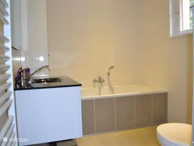 Casa de vacaciones Neuludwigsdorf en Alemania, Sauerland, Neuludwigsdorf - casa vacacional Baño en planta baja con bañera, WC y urinario.
