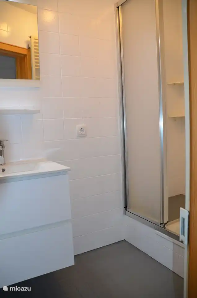 Badezimmer mit Waschbecken und Dusche im Keller