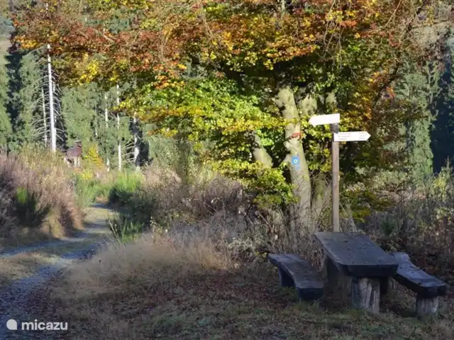 Casa de vacaciones Neuludwigsdorf en Alemania, Sauerland, Neuludwigsdorf - casa vacacional Ruta a pie O
