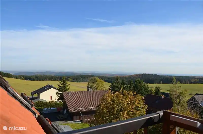 Blick vom Dachfenster