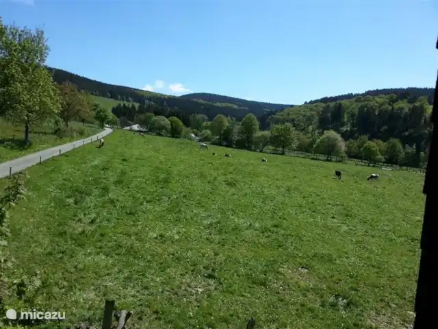 Casa Evani en Alemania, Sauerland, Winterberg - casa vacacional vista desde el dormitorio