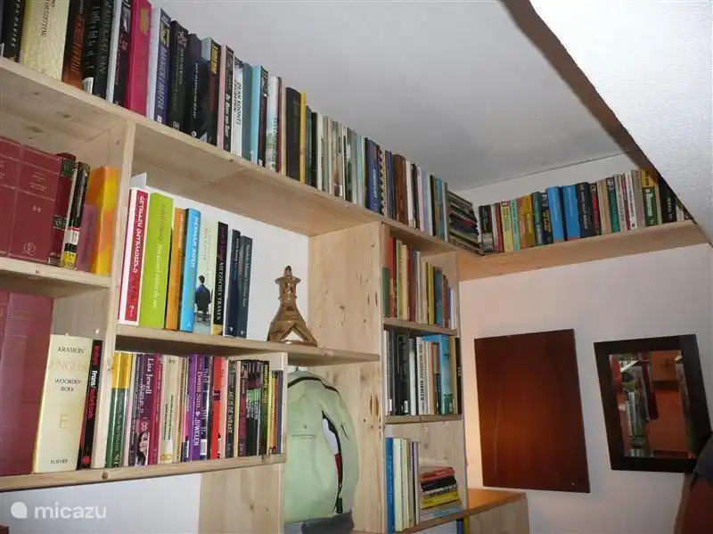 Hal met goed gevulde boekenkast.