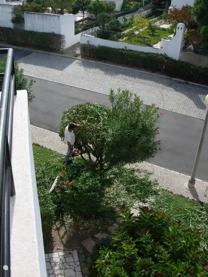 Vanaf ons balkon naar de parkeergelegenheid op het terrein en het snoeien van de oleander.