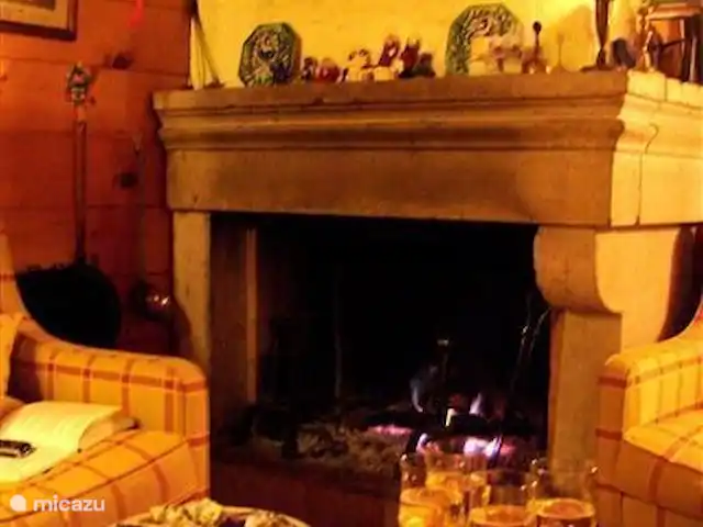 Chalet 'Vivaldi' | France, Haute-Savoie, Doussard - chalet la grande cheminée cosy