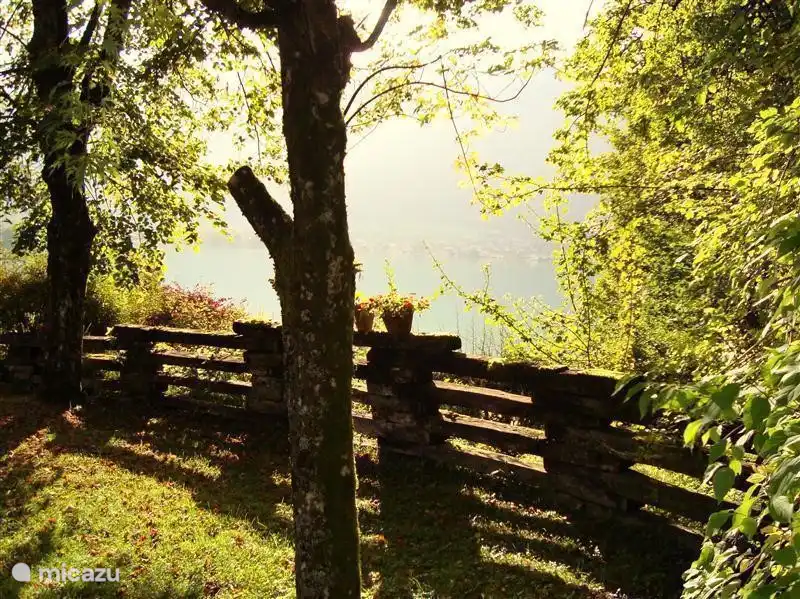 Blick aus dem Teegarten an den See