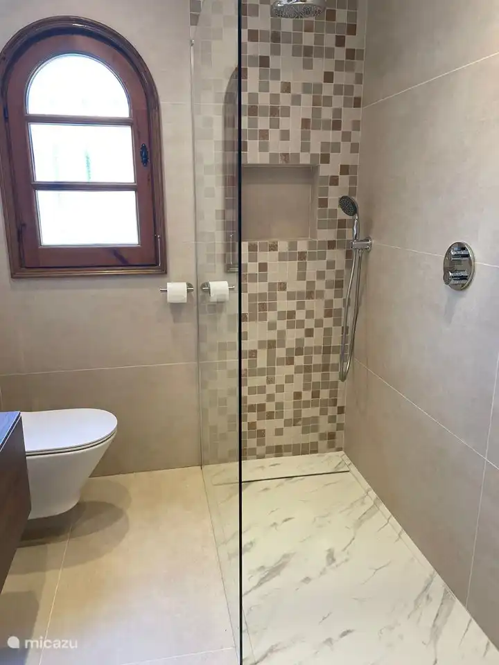 Shower area bathroom in master bedroom.