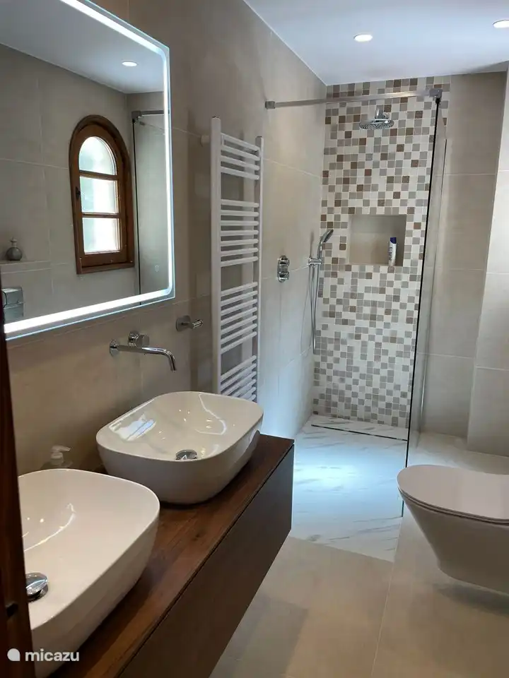 Spacious modern 2nd bathroom with toilet, walk-in shower and sink.
