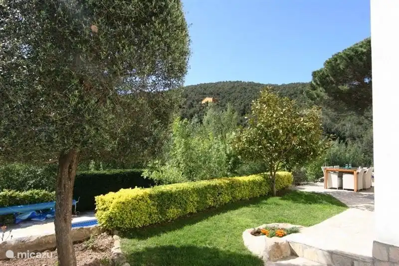 Green everywhere and maintained.