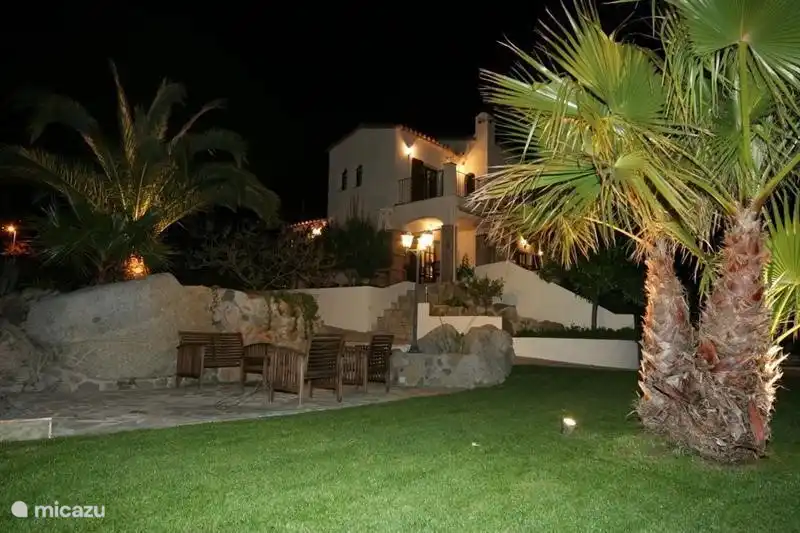 Illuminated garden and palm trees.