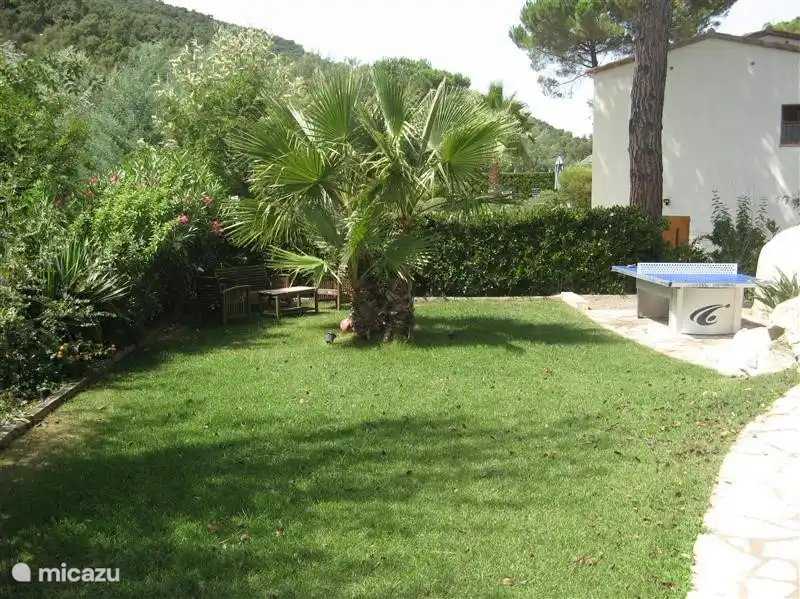 Big green garden with privacy.