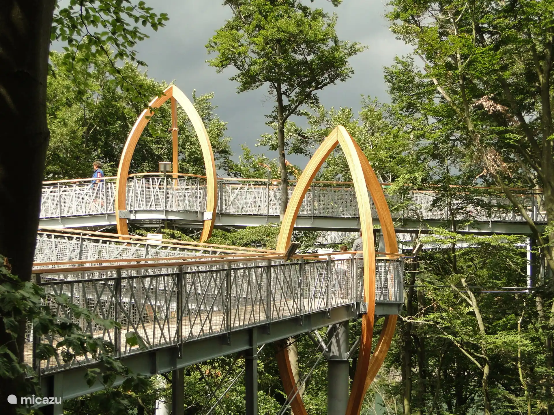 Sentier des arbres à l’Edersee, depuis le barrage, vous pouvez vous y promener.