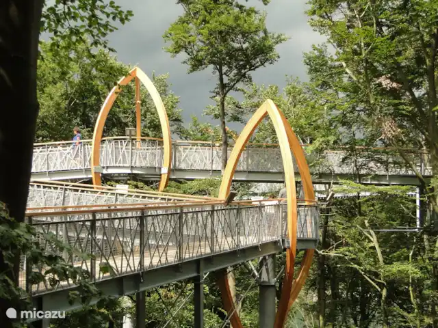 Soy Sternberg 33 en Alemania, Sauerland, Frankenau - casa vacacional Camino de copas de árboles en el Edersee, desde la presa se puede caminar hasta allí.