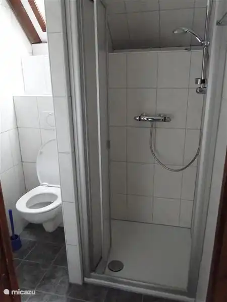 Cabinet de toilette avec douche, lavabo et toilette
