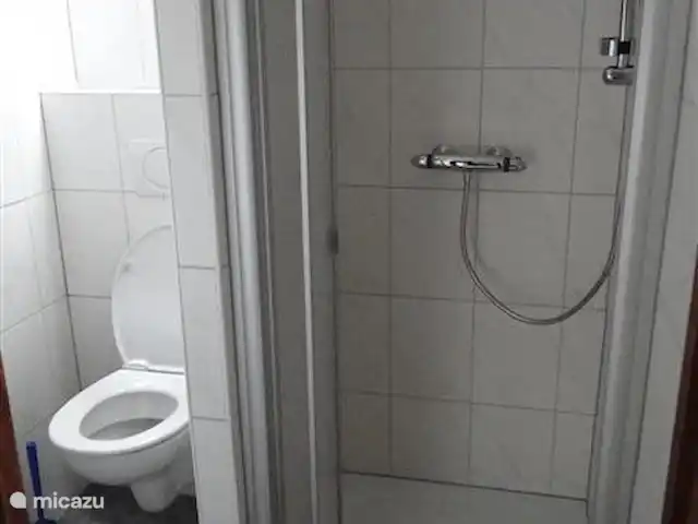 Soy Sternberg 33 en Alemania, Sauerland, Frankenau - casa vacacional Cuarto de baño con ducha, lavabo e inodoro.