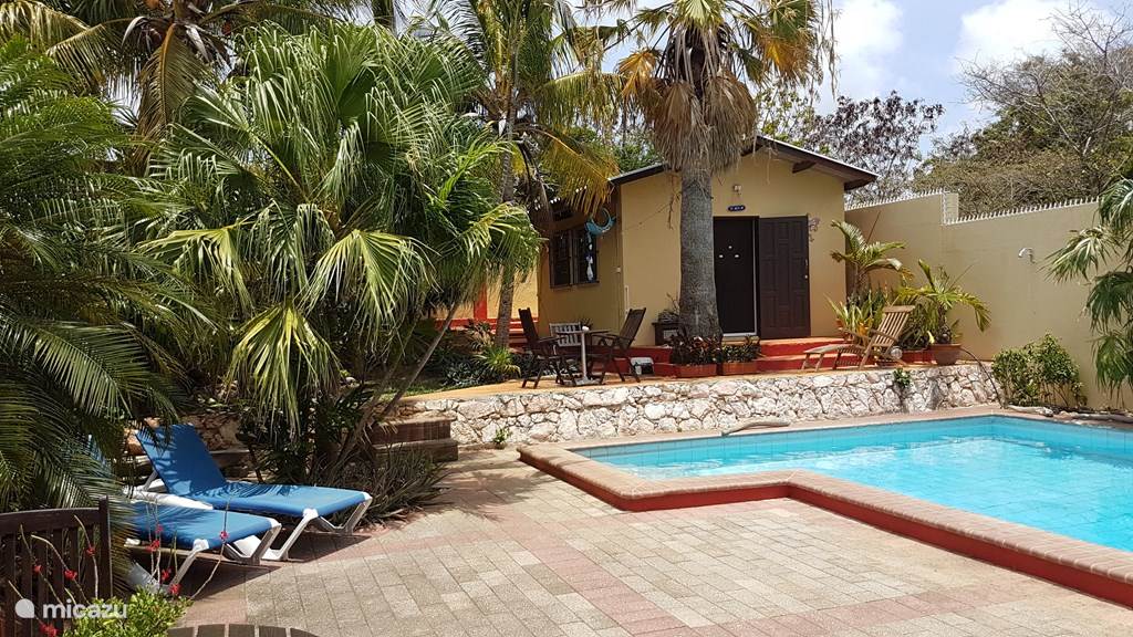 Rent Apartments with private pool in Willemstad, Curacao-Middle. | Micazu