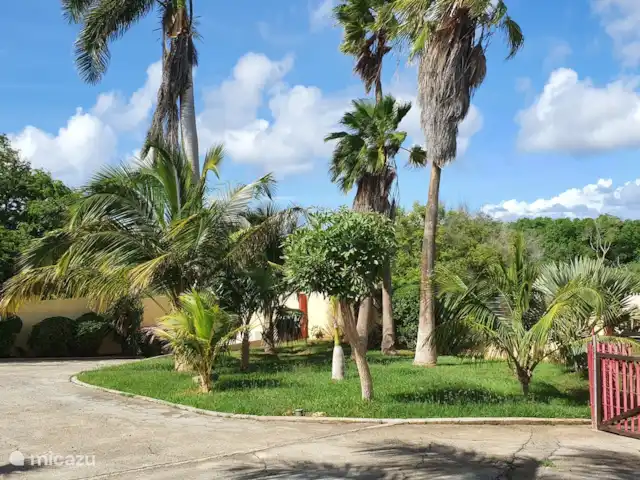Location de Vacances Curaçao, Curaçao-Centre, Willemstad, appartement - Appartement avec piscine privée Cour avant. Le site est entièrement clos de murs, votre voiture est en sécurité à l'intérieur.