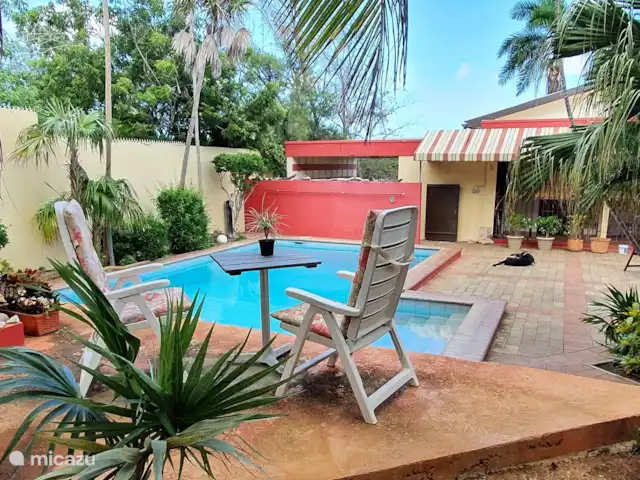 Location de Vacances Curaçao, Curaçao-Centre, Willemstad, appartement - Appartement avec piscine privée Terrasse ombragée sous les palmiers.