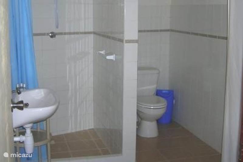 Vacation rental Curaçao, Curacao-Middle, Willemstad Apartment Apartments with private pool