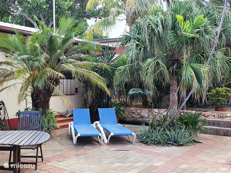 Vakantiehuis Curaçao, Curacao-Midden, Willemstad Appartement Appartement met prive zwembad