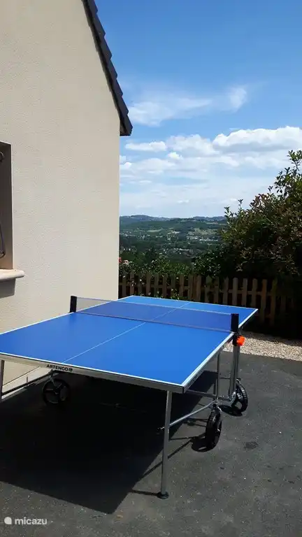 Raquettes et balles de ping-pong à disposition