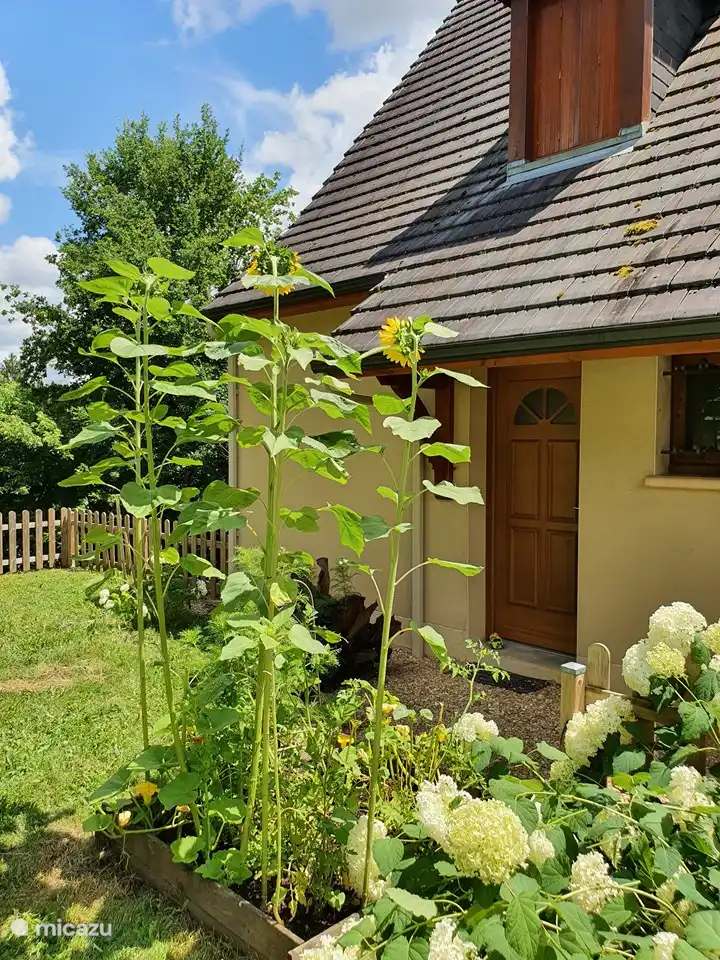 Vakantiehuis Maraval