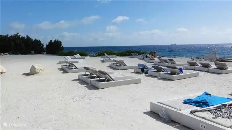 Jan Thiel und Umgebung