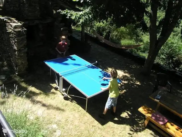 Pradalaux, Cévennes | France, Aveyron, Saint-Jean-du-Bruel - maison de vacances La table de ping-pong