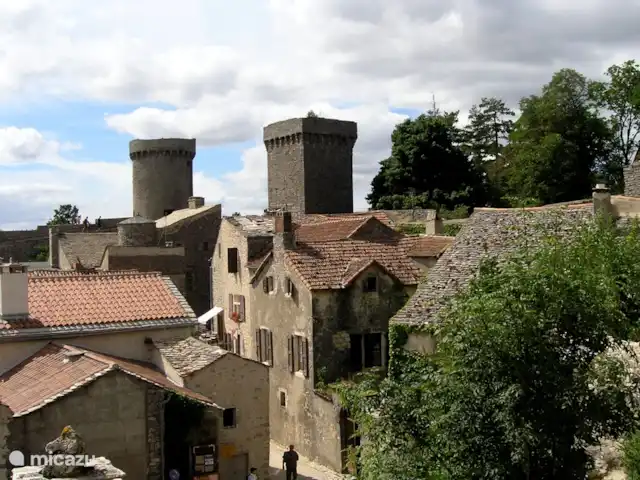 Pradalaux, Cévennes | France, Aveyron, Saint-Jean-du-Bruel - maison de vacances Le Couvertoirade