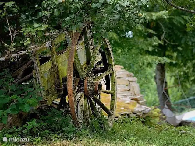 Pradalaux, Cévennes | France, Aveyron, Saint-Jean-du-Bruel - maison de vacances Le vieux chariot