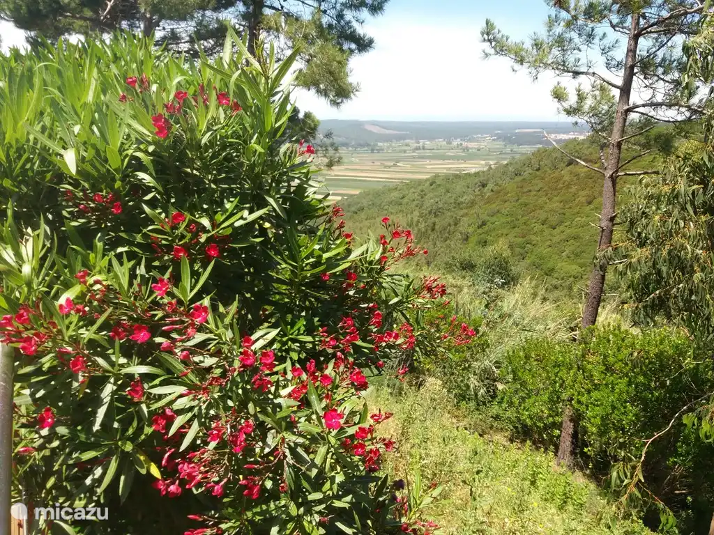 Uitzicht vanop het terras