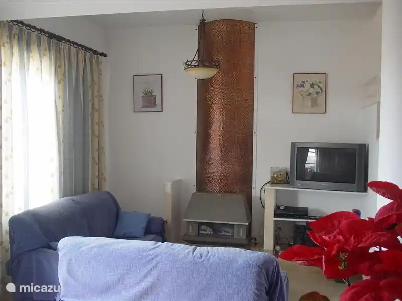 Living room with sofas and a gas fireplace.