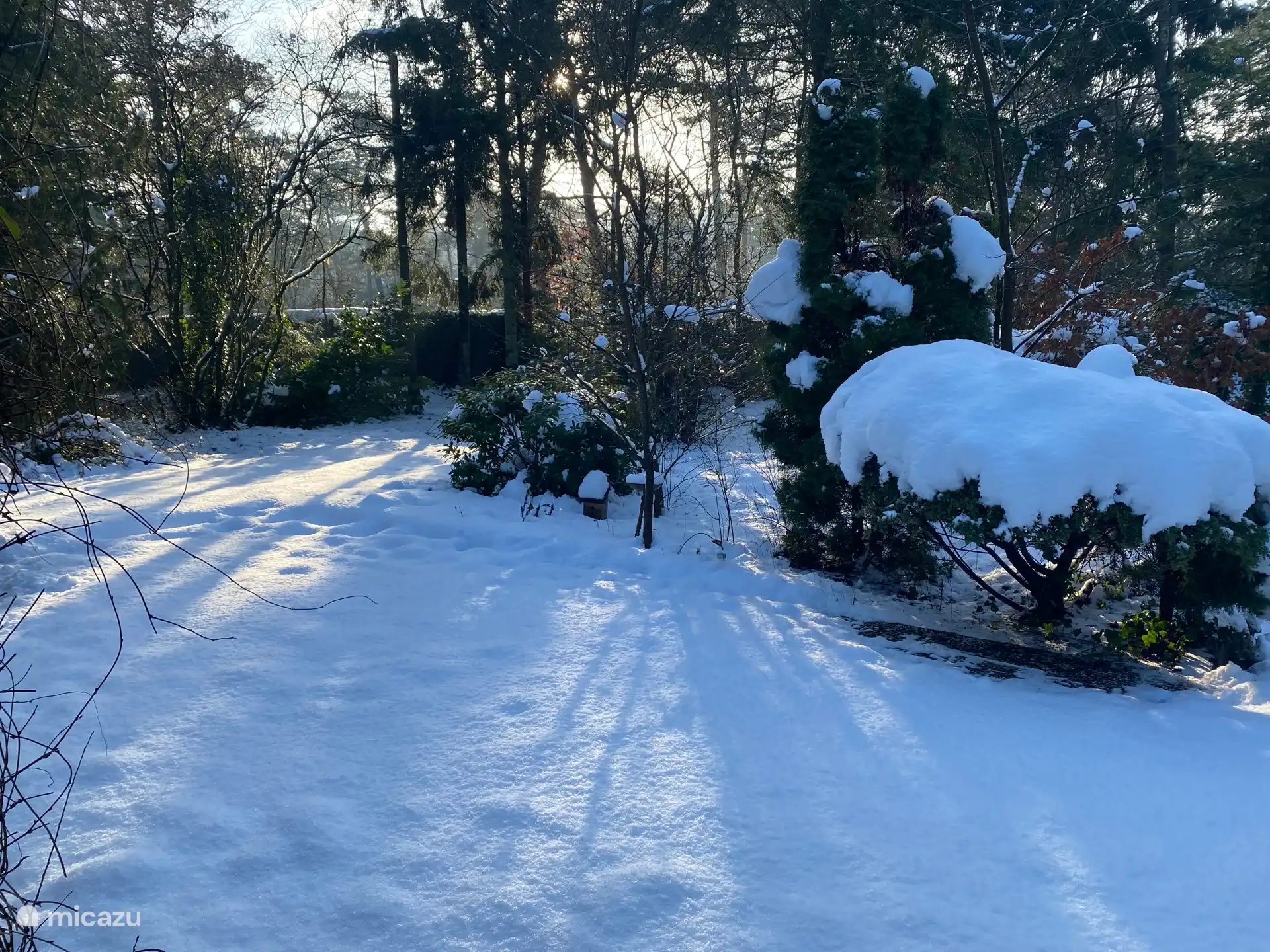 Magnifique dans le jardin d’hiver, magnifique